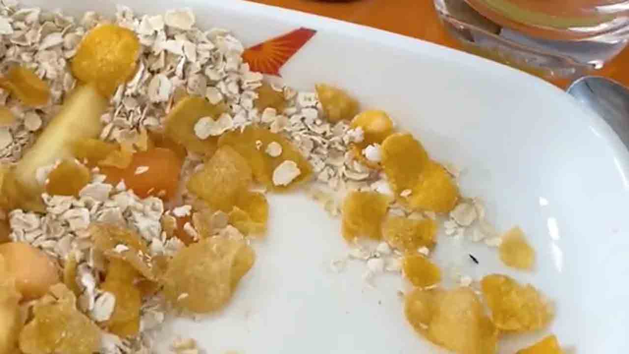 ​Air India | మరో వివాదంలో ఎయిర్‌ ఇండియా.. ఫుడ్‌లో పురుగు వచ్చిందంటూ ప్రయాణికుడి ట్వీట్‌..!