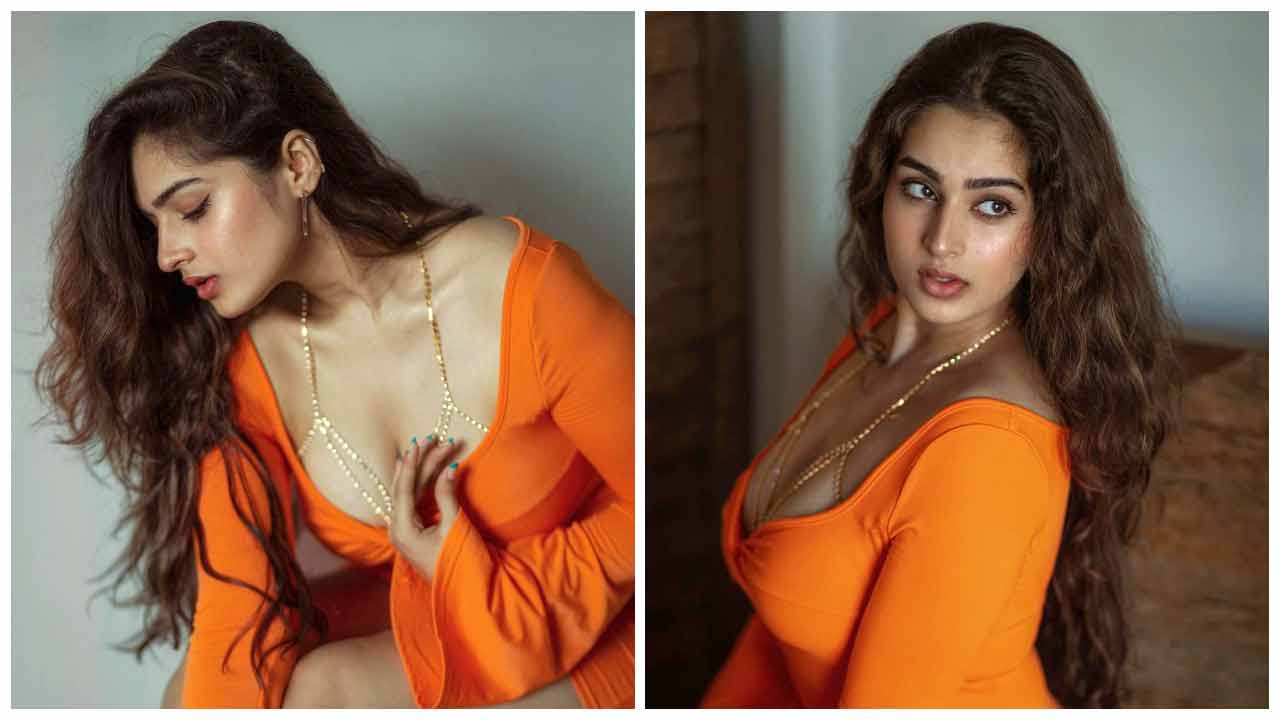 Ayesha Khan | ఆయేషా ఖాన్‌ అందాలకు కుర్రకారు ఫిదా..