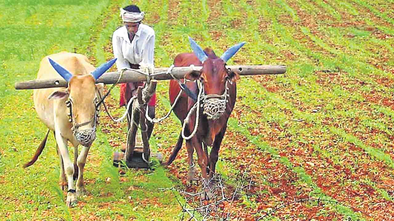 మట్టి ప్రేమికుడు