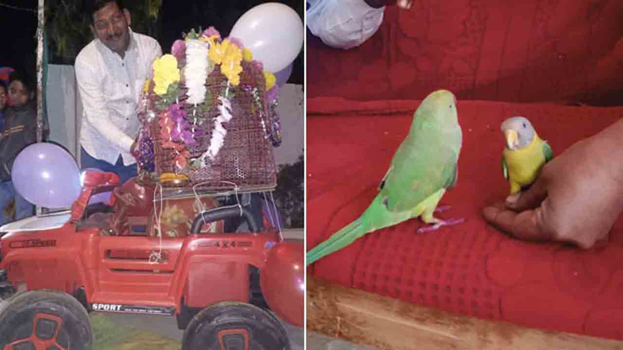 Viral News | బాజా భజంత్రీల నడుమ స్పెషల్‌ మ్యారేజ్‌.. వధూవరులెవరో తెలుసా..?