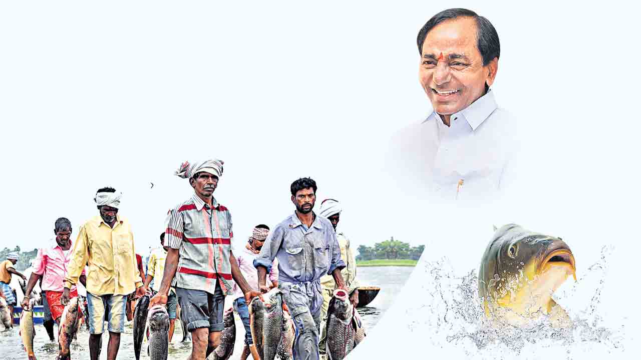 మీనం మెరిసె.. జాలరి మెరిసె..