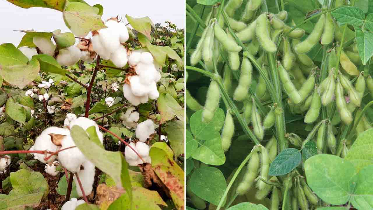 ఆహార ఉత్పత్తుల్లో తెలంగాణ సత్తా