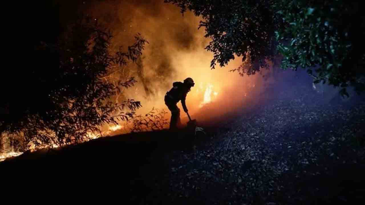 Chile Wildfire | చిలీ అడవులను తగలబెడుతున్న కార్చిచ్చు.. 13 మంది సజీవదహనం..!