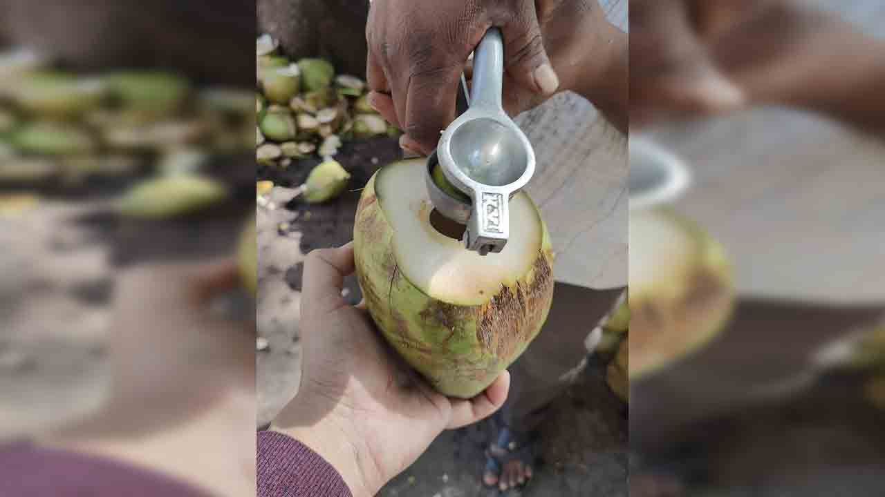 Viral Photo | కొబ్బరి బోండాంలో నిమ్మరసం.. కాంబినేషన్ అదిరిందిగా..!
