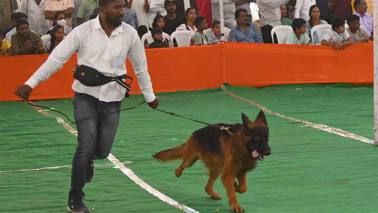 ఆకట్టుకున్న డాగ్‌ షో