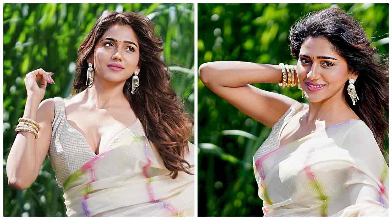 Dollysha | చీరకట్టులో అలరిస్తున్న డాలీషా..