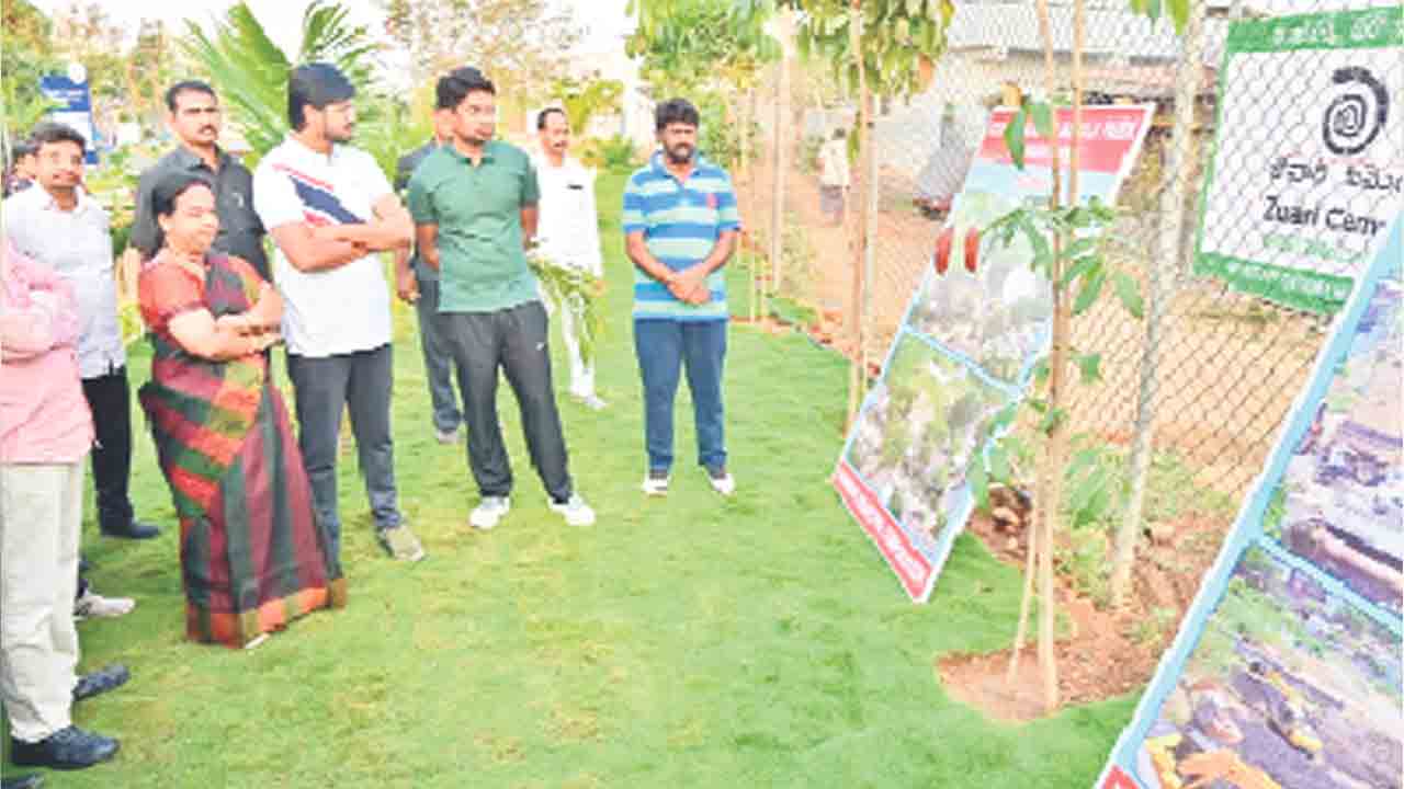 సూర్యోదయం వేళ పార్కుల సందర్శన
