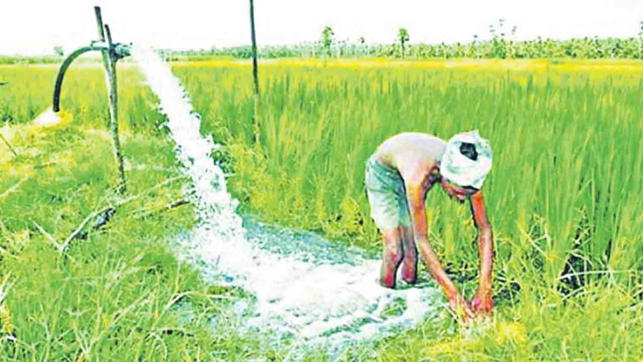 వ్యవసాయమే ఆర్థిక ఇంధనం