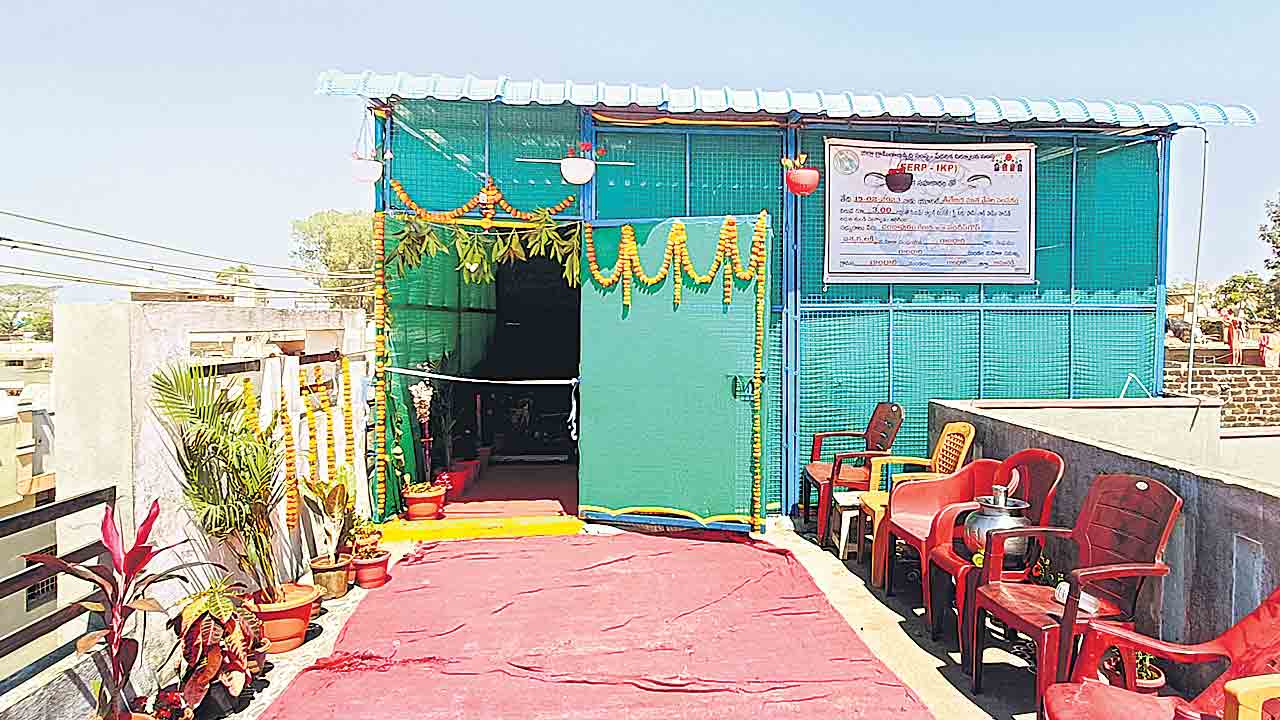 మిద్దెపై చేపలు