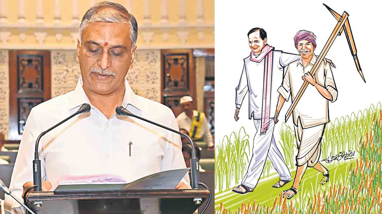 పద్దు మెరిసె.. రైతు మురిసె