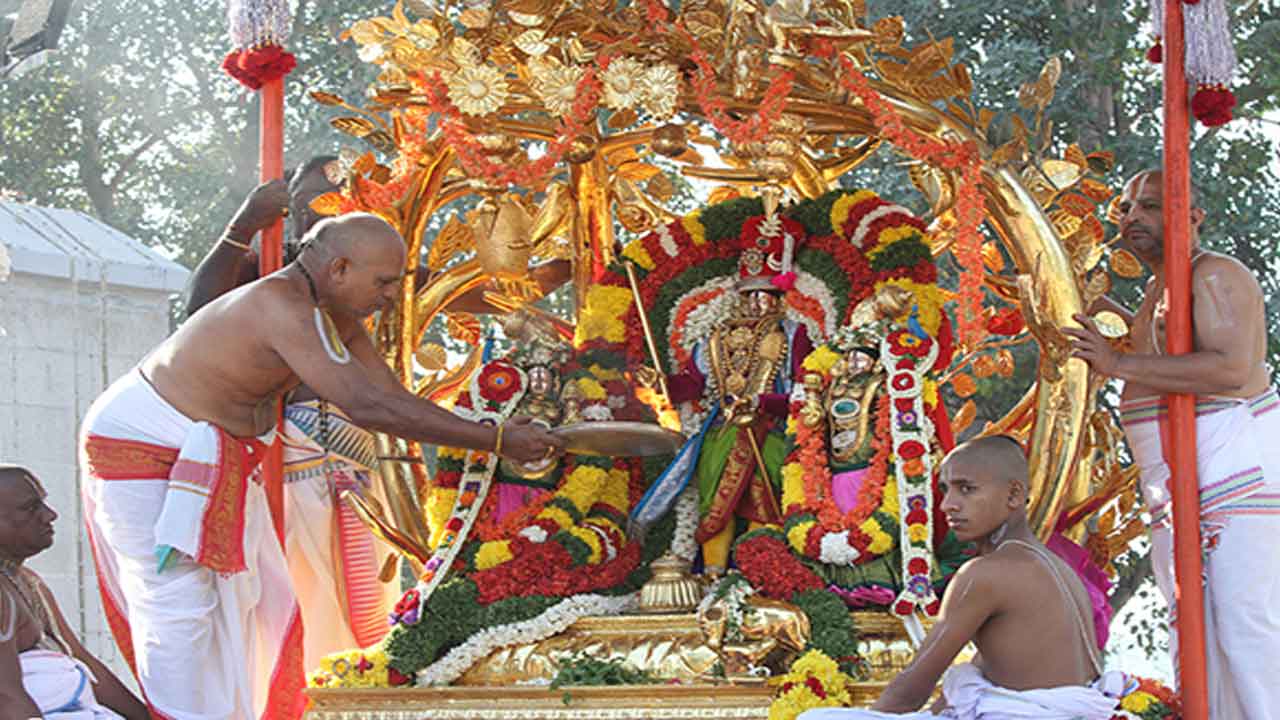 TTD news | కల్పవృక్ష వాహనంపై రాజమన్నార్‌ అలంకారంలో శ్రీనివాసుడు