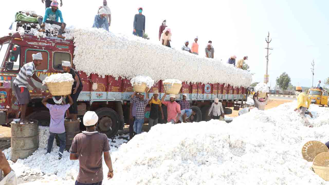 తెల్లబంగారం