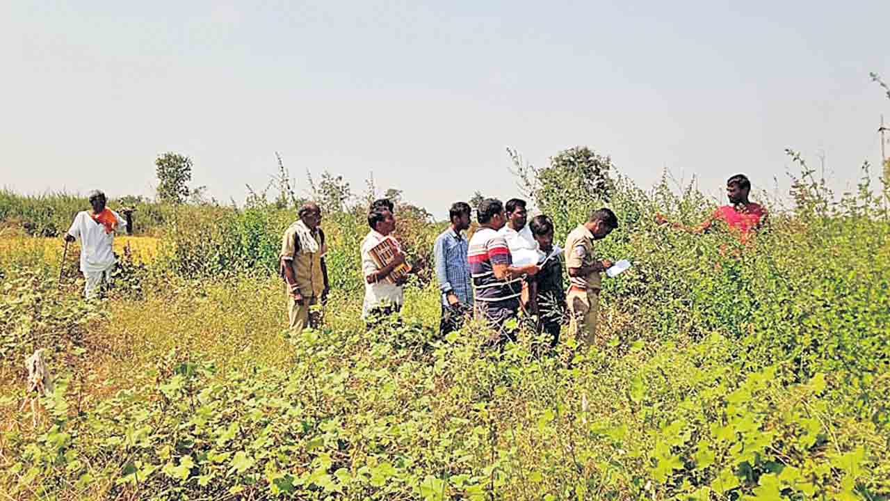 పోడుకు పట్టాలు.. త్వరలో పంపిణీ చేసేందుకు అధికారుల కసరత్తు