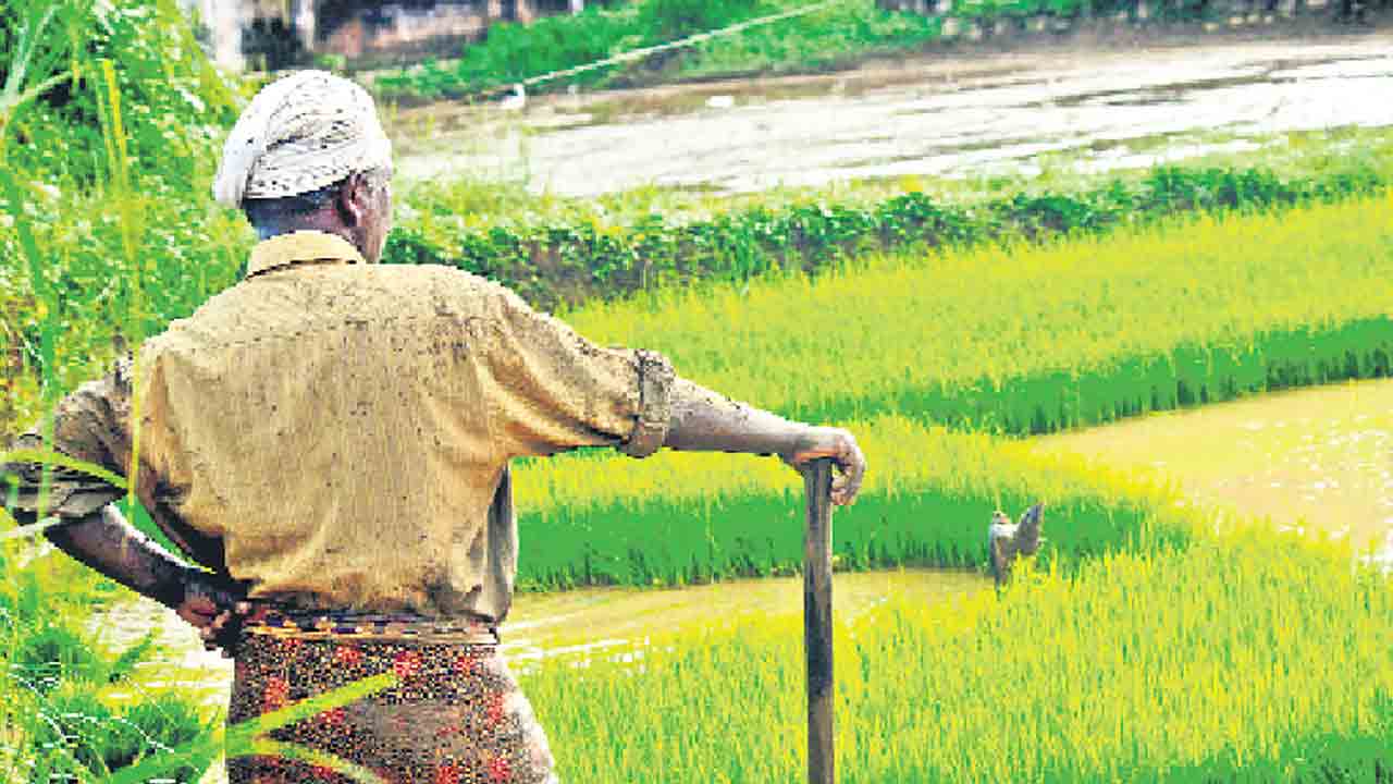 బీమా.. రైతన్నకు ధీమా