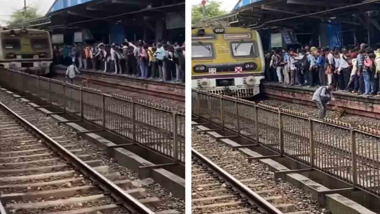 Viral Video: రైలు పట్టాలపై కుక్క, రైలు వస్తుండగా రక్షించేందుకు వ్యక్తి యత్నం.. తర్వాత ఏం జరిగిందంటే!