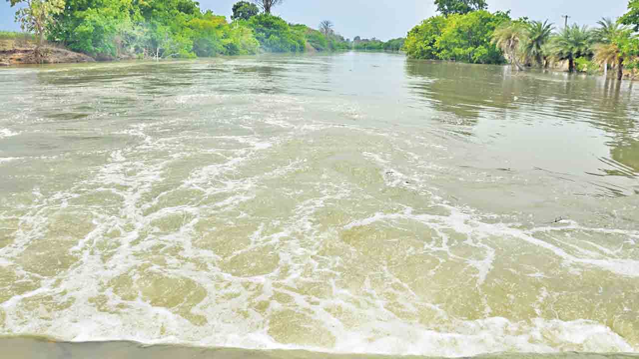 జల వనరులు గలగల.. ఎవుసం కళకళ