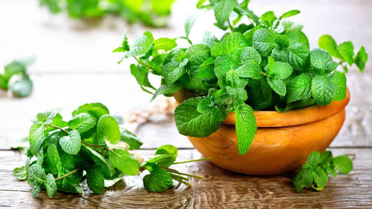 Health Tips | పుదీనాతో కలిగే ఈ ఆరోగ్య ప్రయోజనాల గురించి మీకు తెలుసా..?