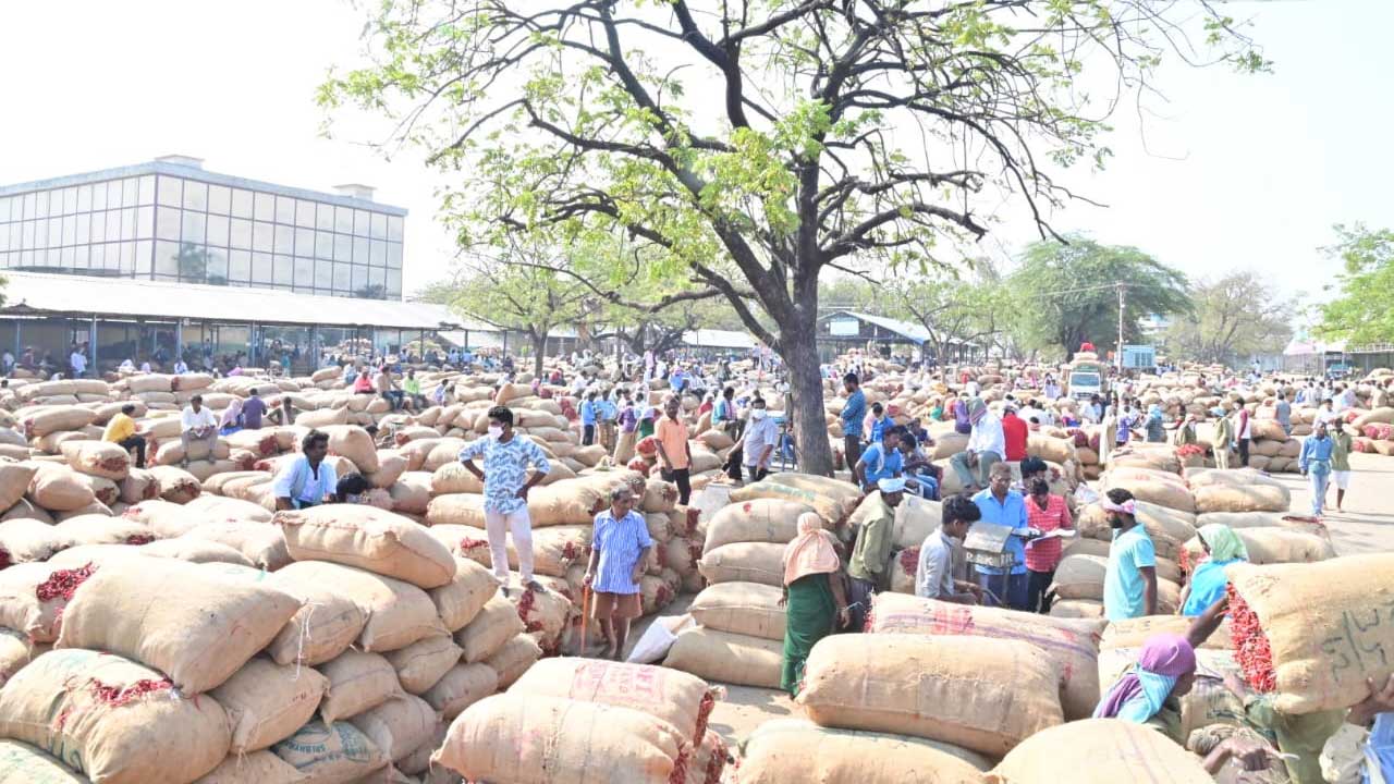 Teja Mirchi | మిర్చీ ఘాటు.. క్వింటాల్‌ రూ.19వేలు పలికిన ధర