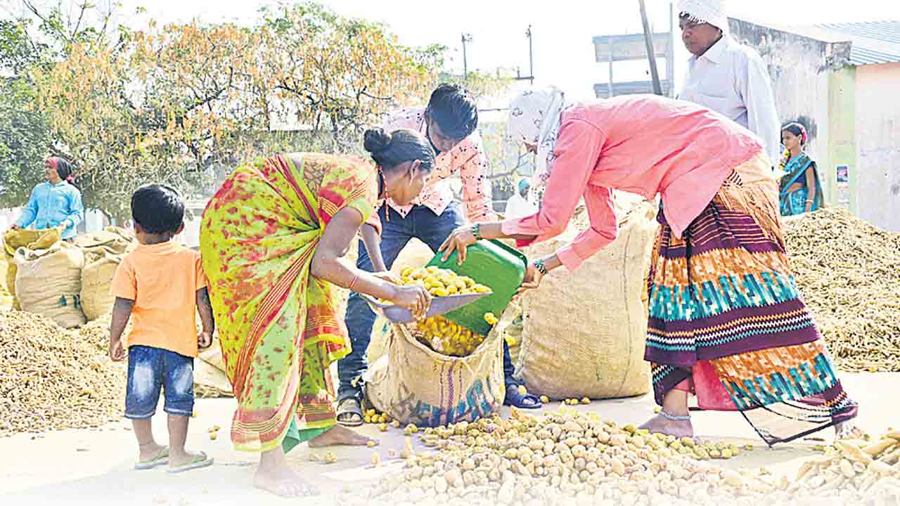 పసుపు ధర పాతాళానికి..