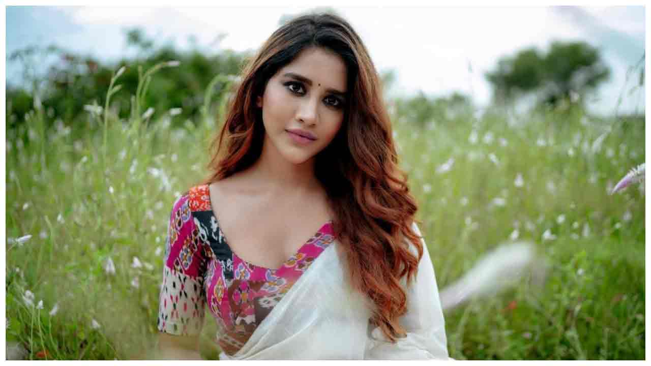 Nabha Natesh | చీరలో మెస్మరైజ్ చేస్తున్న నబా నటేష్..
