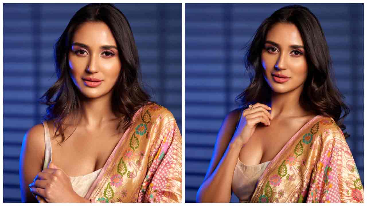 Nikita Dutta | పట్టుచీరలో పరువాలు ఒలకబోస్తున్న నికితా దత్త..