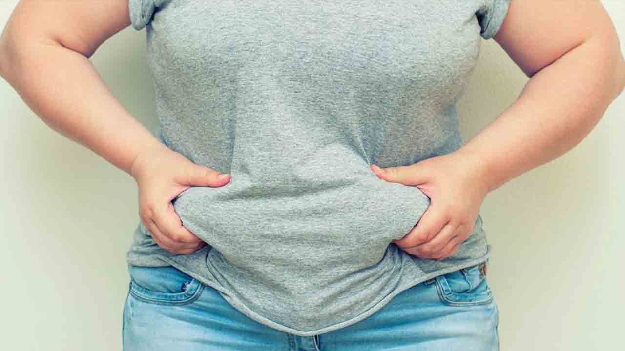 Health Tips | ఊబకాయంతో బాధపడుతున్నారా.. అయితే ఈ చిట్కాలు మీ కోసమే..!