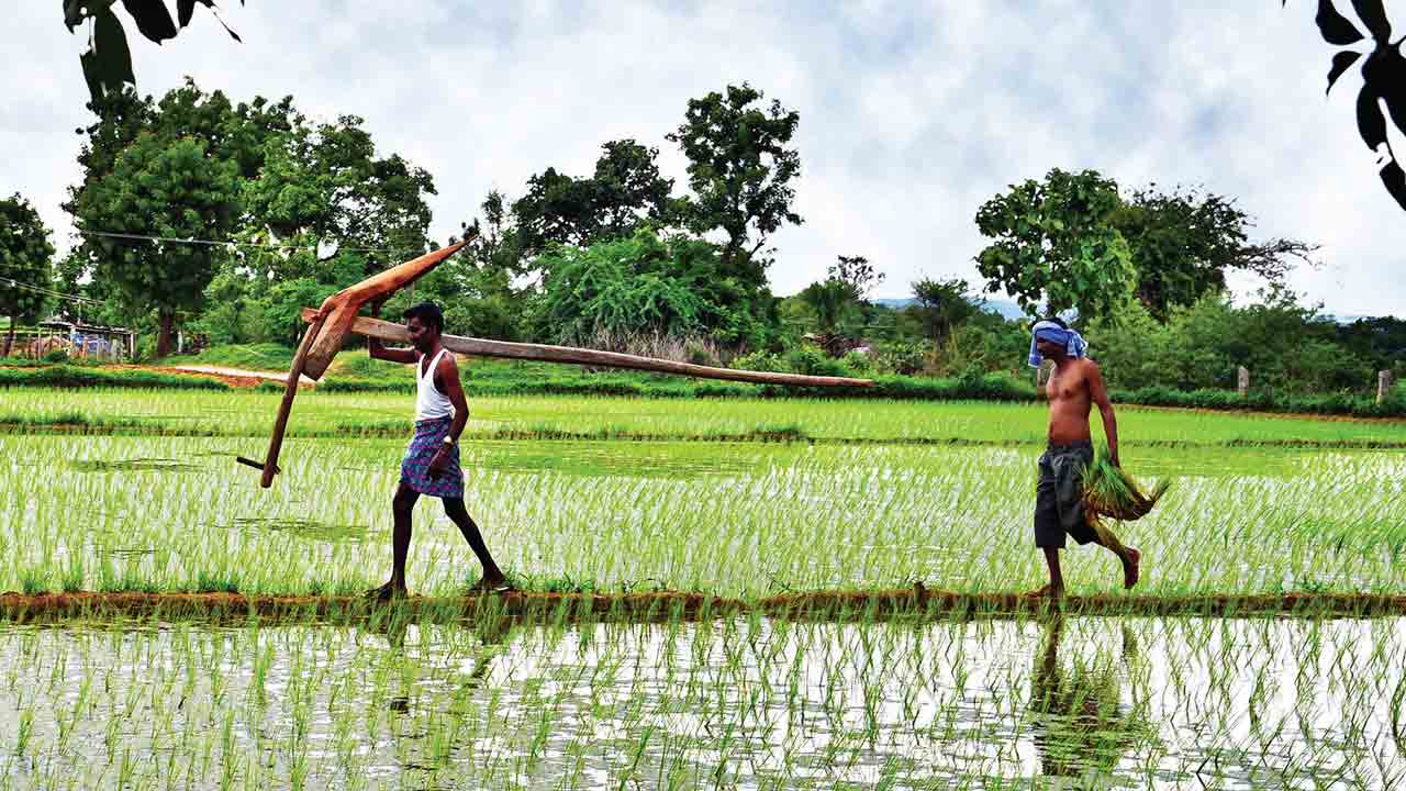 ఒక్కో రైతుపై లక్ష.. ఇది ఏటా తెలంగాణ సర్కారు చేస్తున్న ఖర్చు