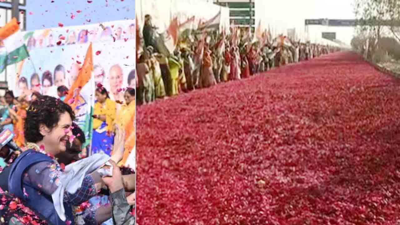 Priyanka Gandhi | ప్లీనరీ వేళ.. ప్రియాంక గాంధీకి గులాబీ పూల తివాచీతో ఘన స్వాగతం.. వీడియో వైరల్‌..!