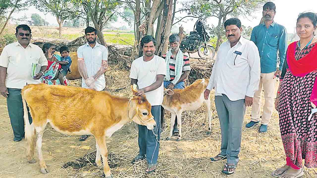 పాడి సంపద పెంపే లక్ష్యంగా..