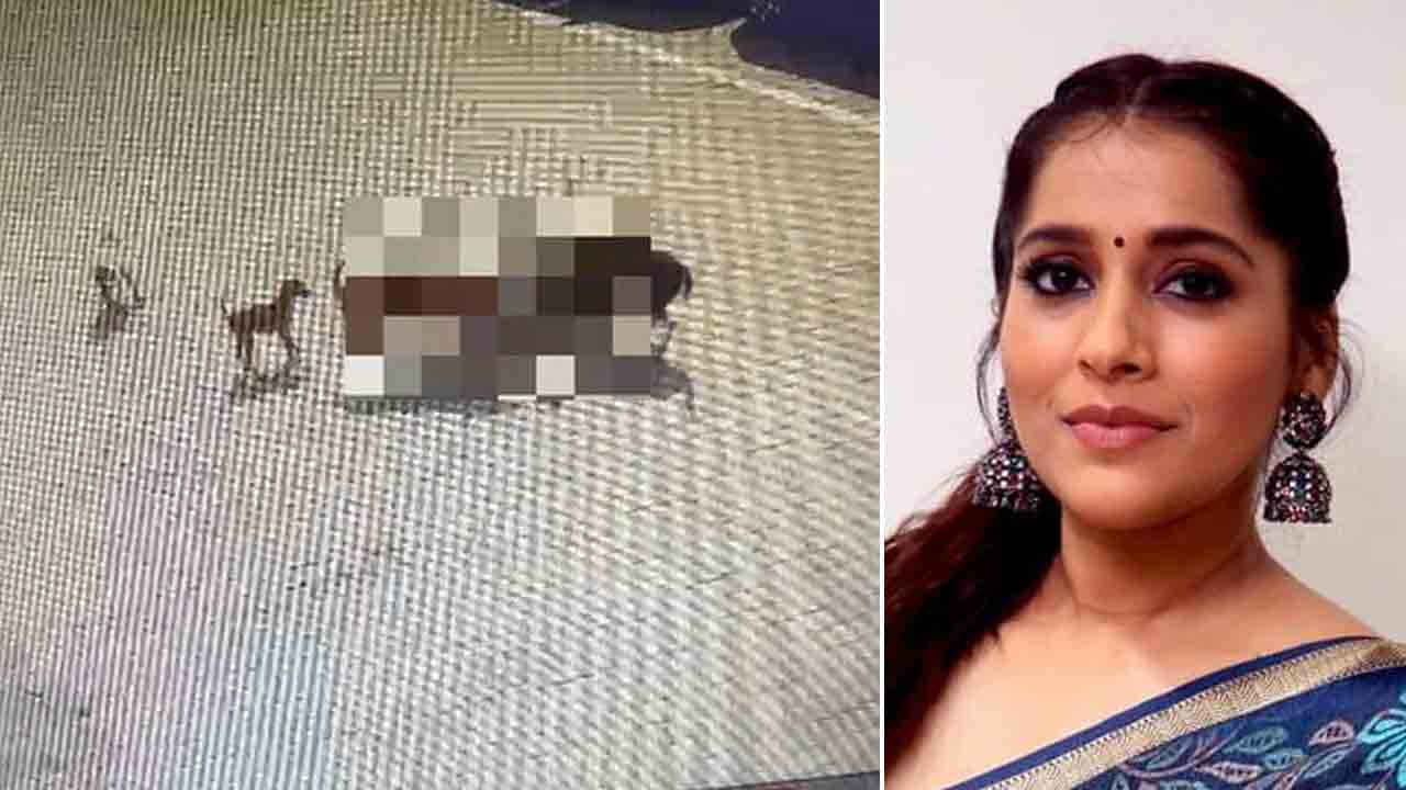 Rashmi Gautam | కుక్కల దాడిలో బాలుడు మృతి.. స్పందించిన యాంకర్ రష్మి..!