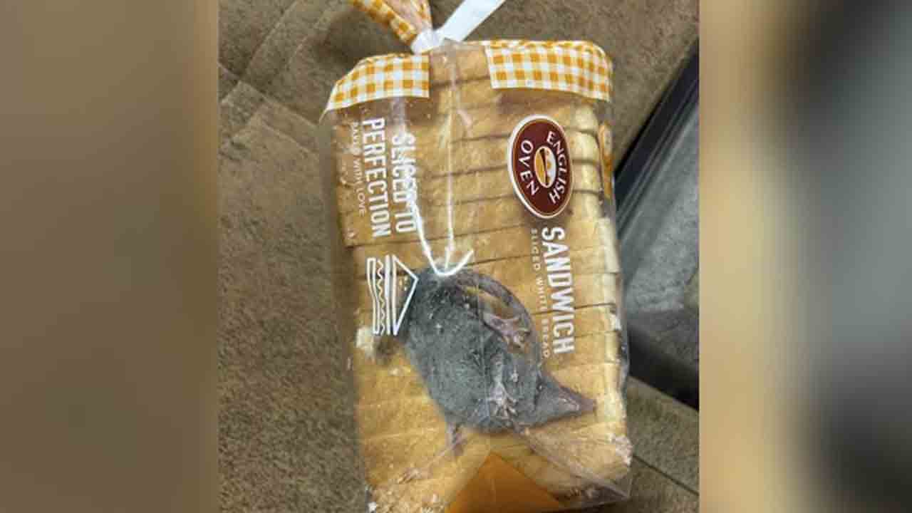 Viral video | ఆర్డర్‌ చేసిన బ్రెడ్‌ ప్యాకెట్‌లో ఎలుక.. కంగుతిన్న కస్టమర్‌