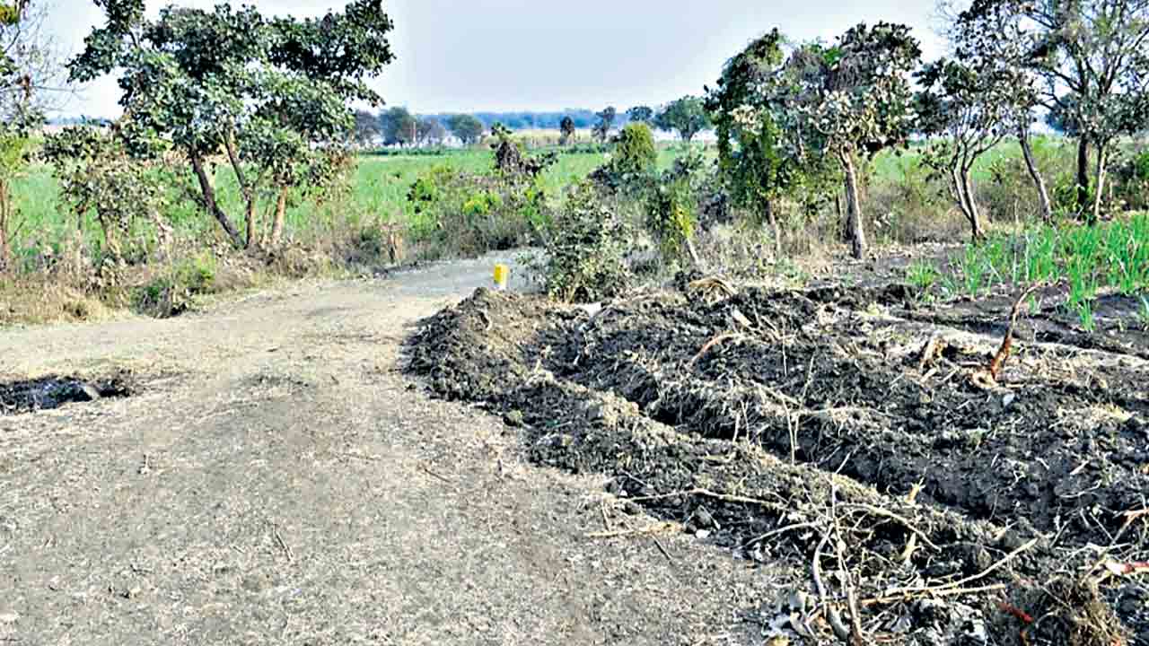 1,774 కోట్లతో బసవేశ్వర ఎత్తిపోతల