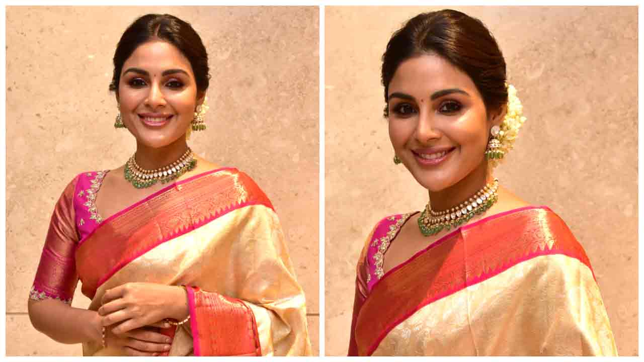 Samyuktha Menon | సార్ మూవీ సక్సెస్ మీట్‌లో సంయుక్త మీనన్