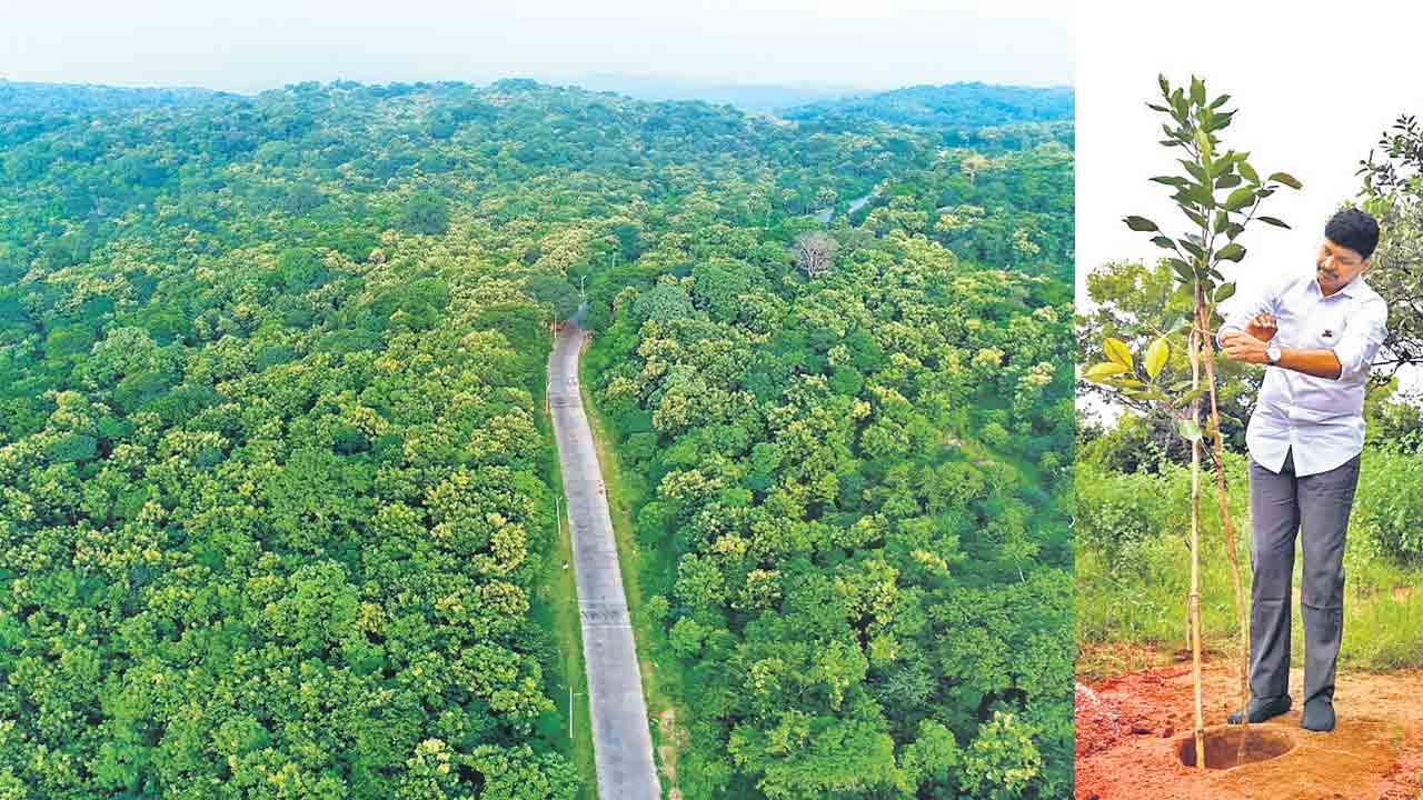 కొండగట్టు అడవి దత్తత.. కేసీఆర్‌ బర్త్‌డే సందర్భంగా ఎంపీ సంతోష్‌కుమార్‌ నిర్ణయం