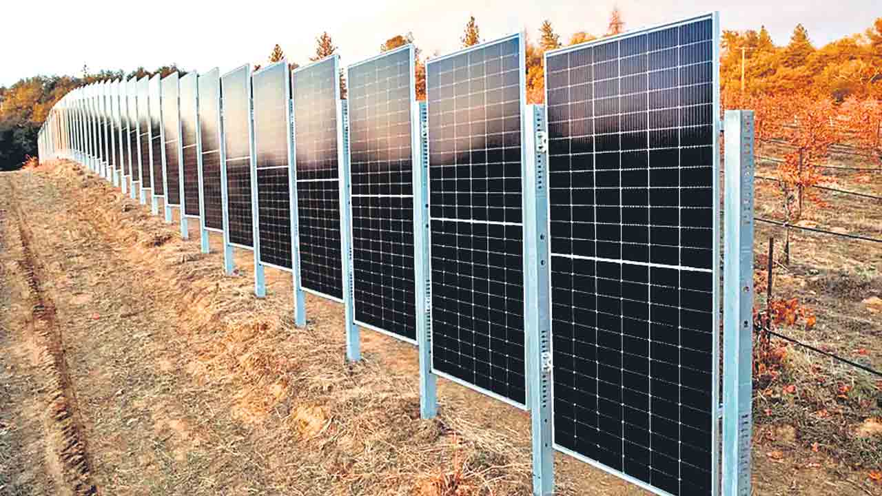 నిలువు సౌర ఫలకలు విద్యుత్తు వెలుగులతో పాటు పంటకు రక్షణ