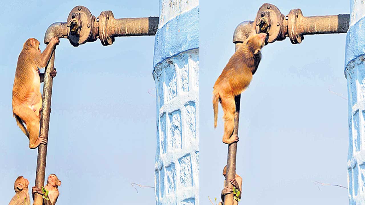 నీటి కోసం కో(తి)టి తిప్పలు!