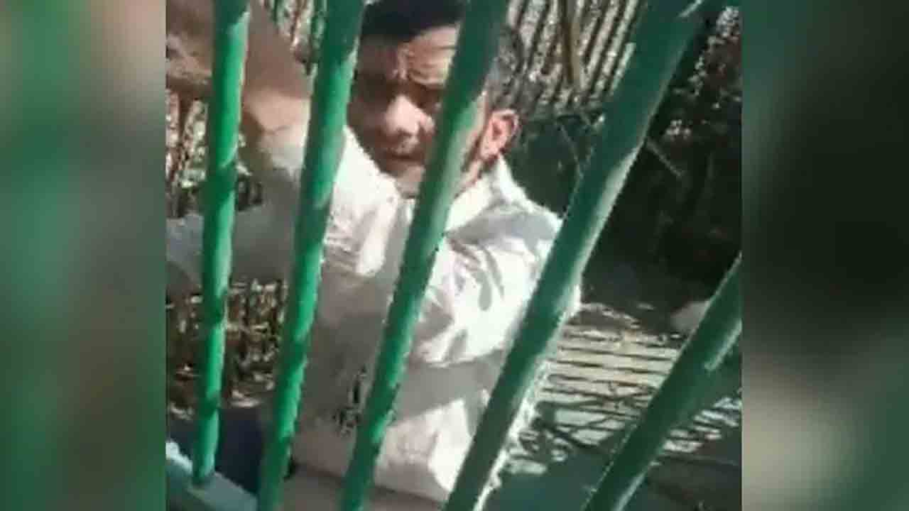 Watch: పులి బోనులో ఎరగా కోడి.. చోరీకి యత్నించి లోపల చిక్కుకున్న వ్యక్తి