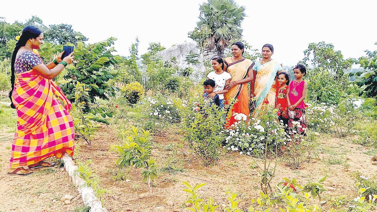 పల్లెకు కొత్తందాలు