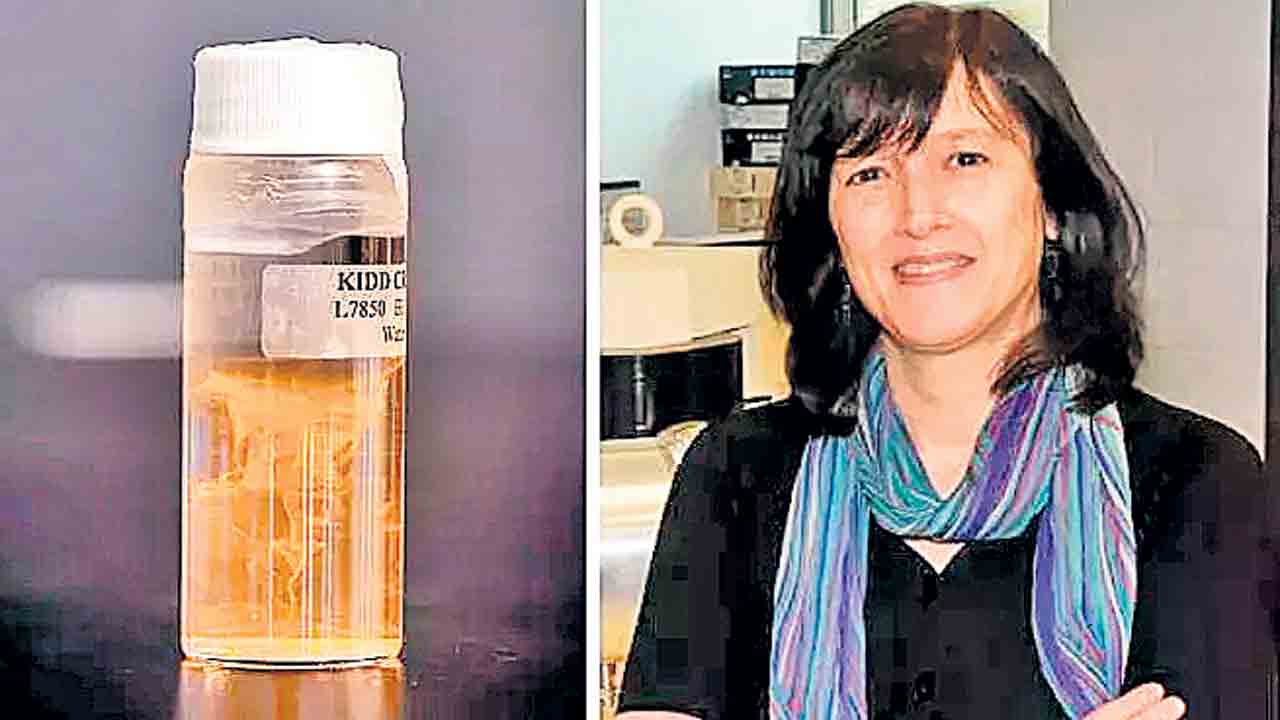 260 కోట్ల ఏండ్లనాటి నీళ్లు.. తాగేసింది!