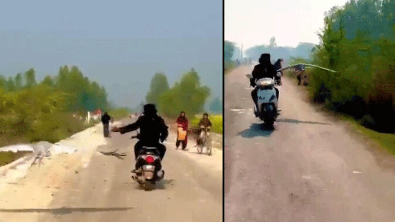 Viral Video | ప‌క్షిని కాపాడితే అది ఫ్రెండ్‌గా మారి ఏం చేసిందంటే..!