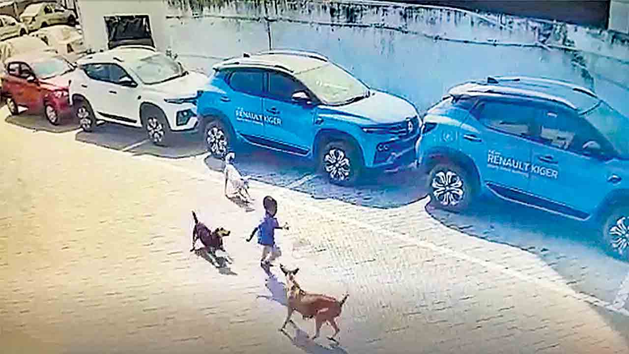 వీధి కుక్కల దాడిలో నాలుగేండ్ల బాలుడి మృతి