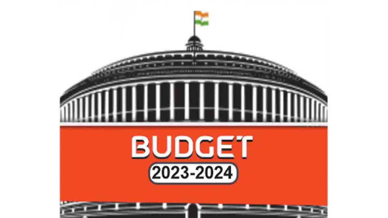 ఏ బడ్జెట్‌ ఎవరి పక్షం?