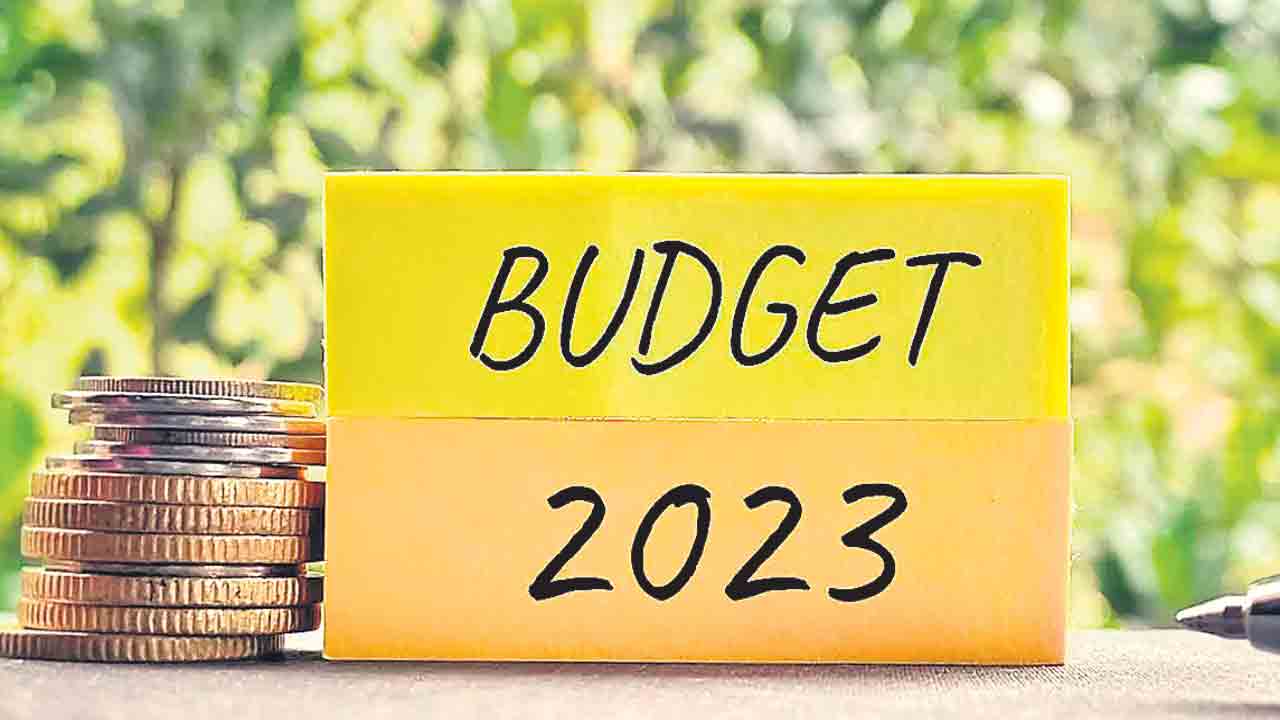 బడ్జెట్‌ వెలుగులు నింపేనా?