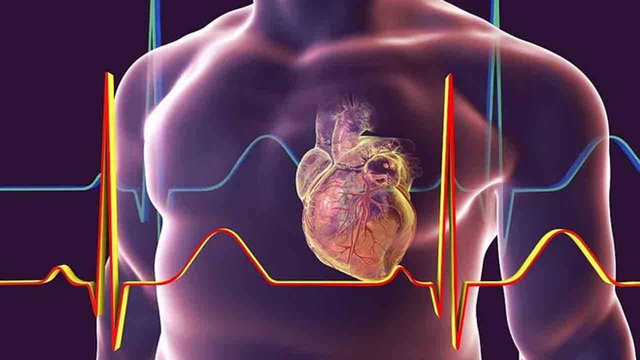 గుండెకు మరమ్మతు చేసే టూల్‌బాక్స్‌