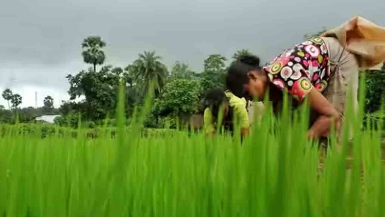 మూడేళ్లలో లక్షకుపైగా వేతన జీవులు ఆత్మహత్య: కేంద్రం