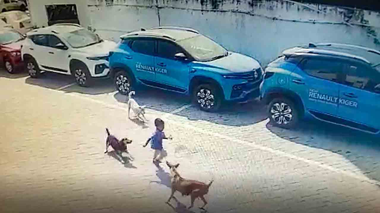 బాలుడి మృతిపై నేడు హైకోర్టులో విచారణ