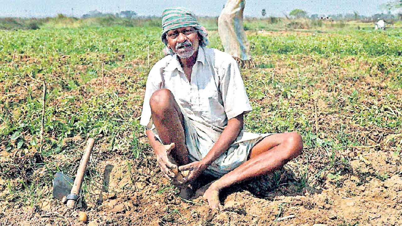 Farmers | అప్పుల ఊబిలో గుజరాత్‌ రైతన్న.. ప్రతి రైతు కుటుంబం నెత్తిన రూ. 56 వేల రుణం