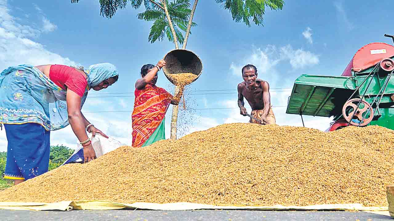 రైతుల ఆదాయం రెట్టింపు చేస్తానన్న మోదీ హామీ గాలికి.. ఏడేండ్లలో పెరిగిన నెలవారీ ఆదాయం రూ.3,658 మాత్రమే