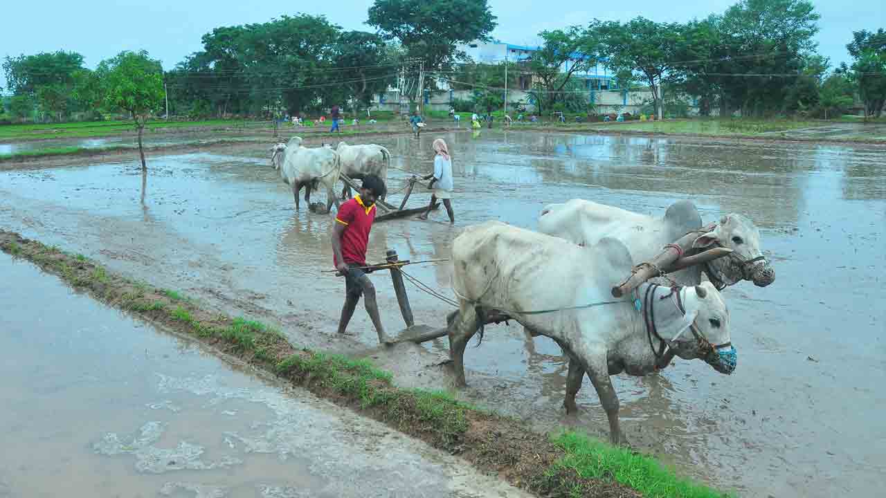 తెలంగాణకు ప్రశంసలేనా, పైసలేవి?