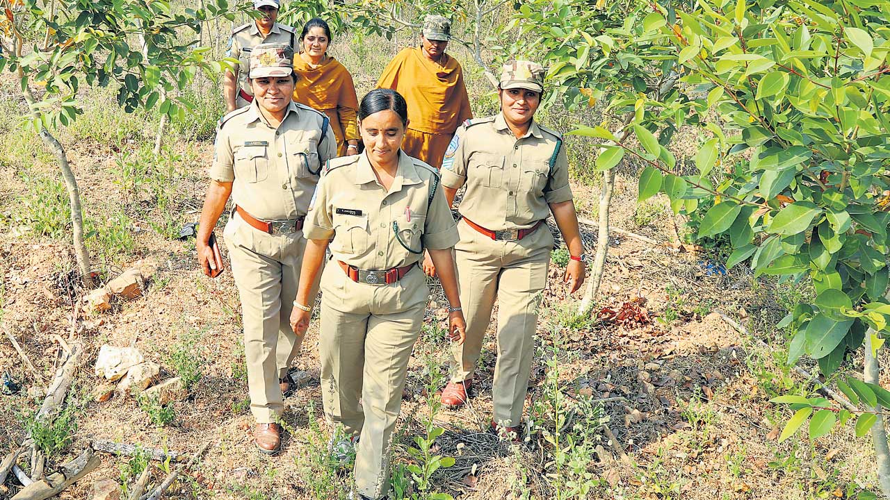 పచ్చదనం.. పరిరక్షకులు